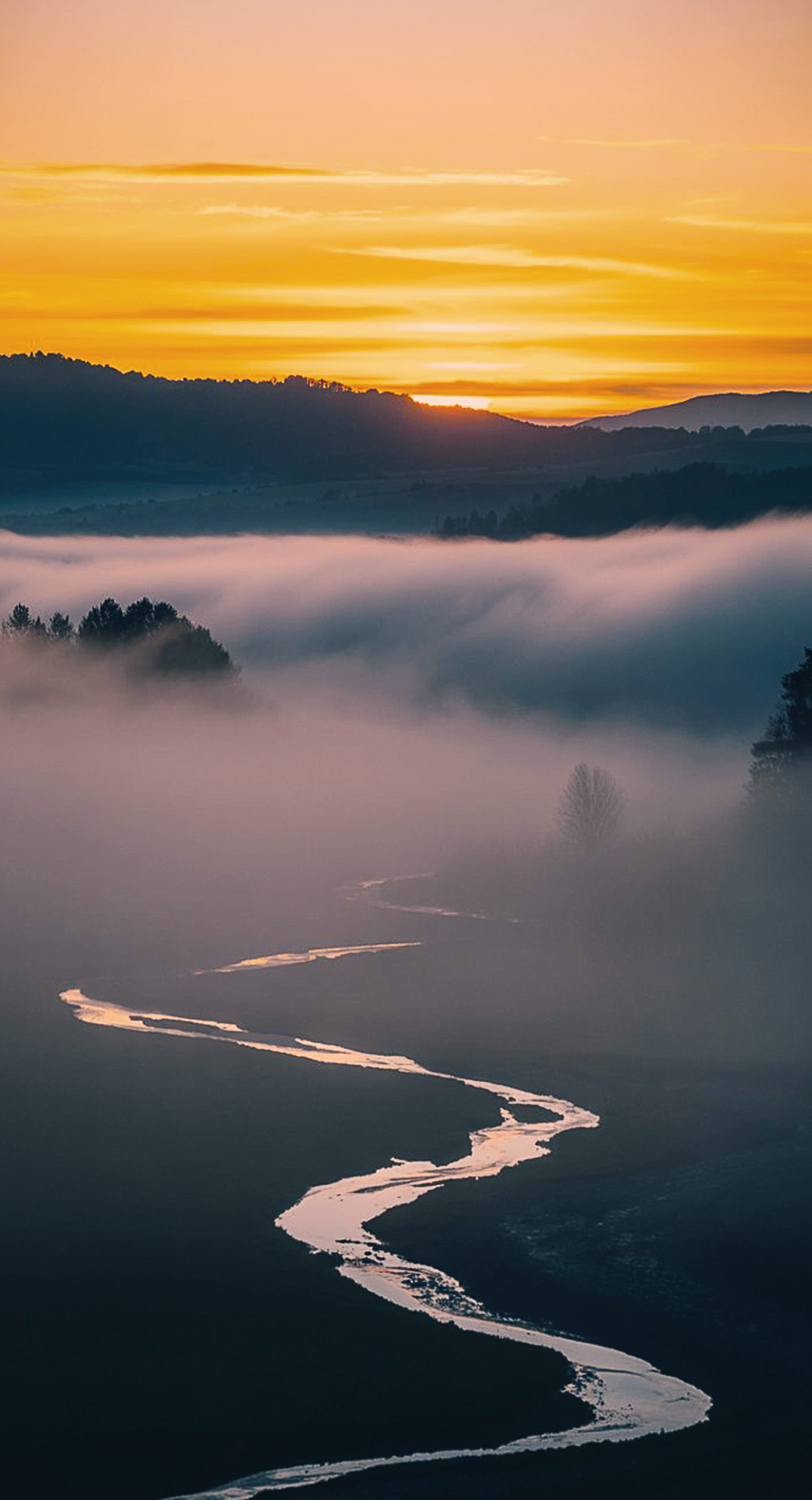 beautiful cute nature mobile phone wallpaper background (51)