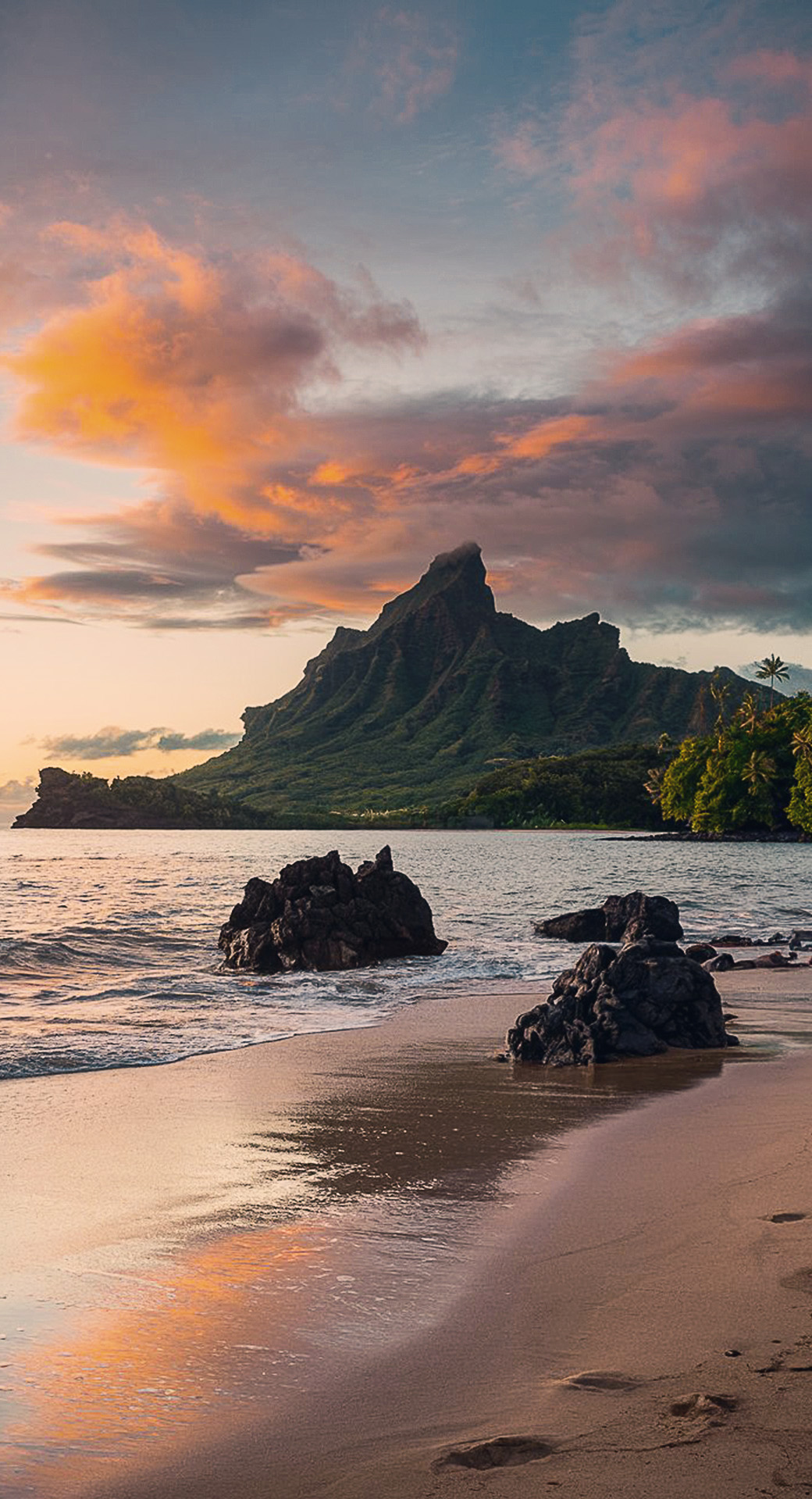 beautiful cute nature mobile phone wallpaper background (57)