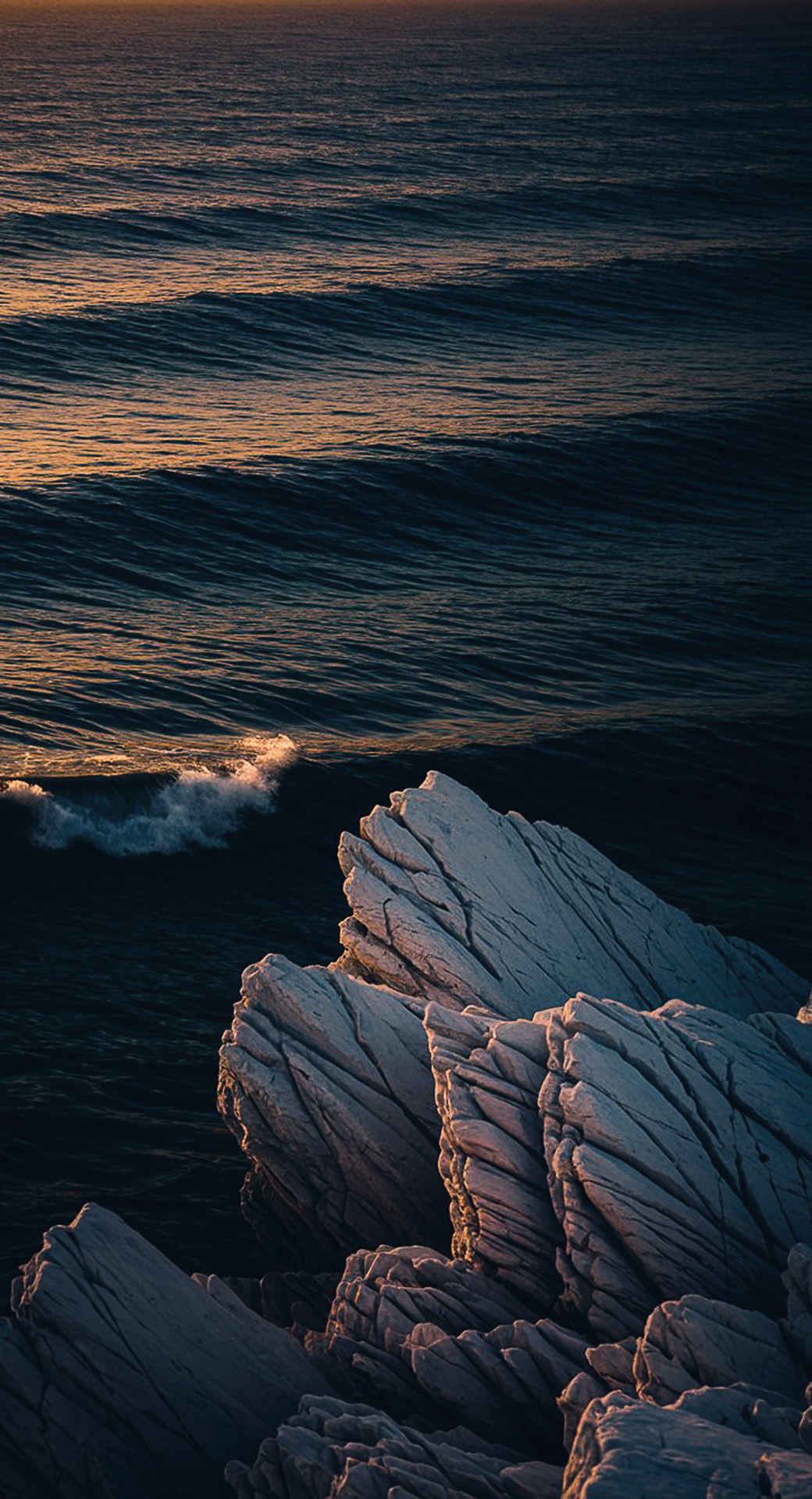 beautiful cute nature mobile phone wallpaper background (73)