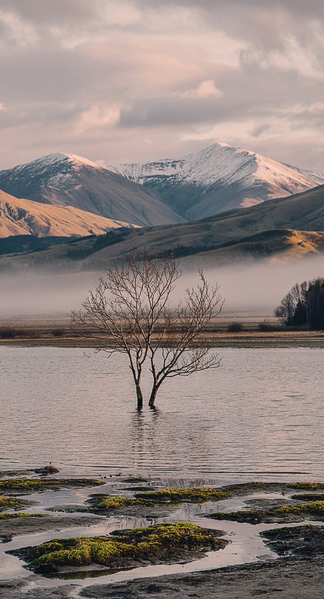 beautiful cute nature mobile phone wallpaper background (78)