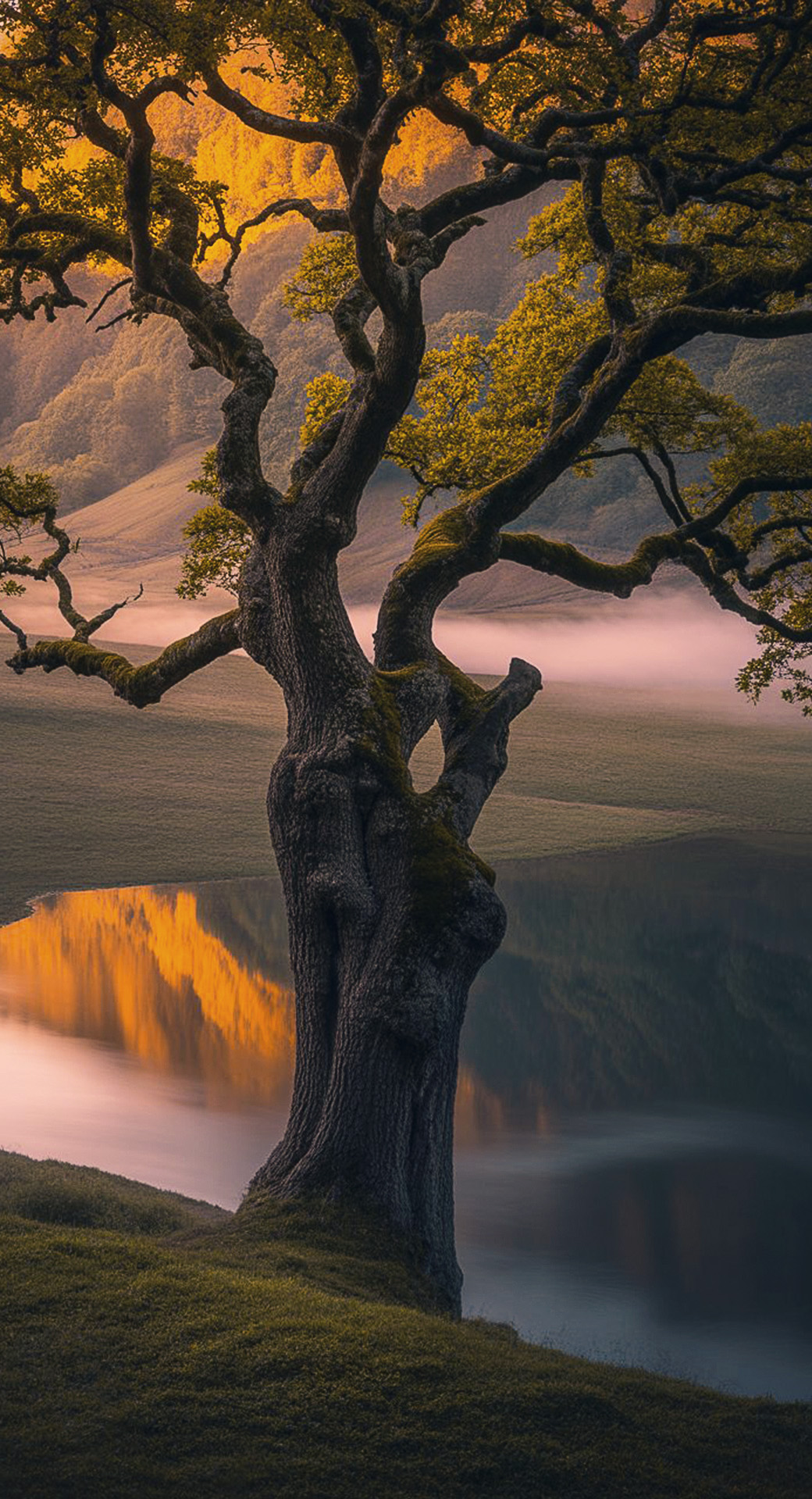 beautiful cute nature mobile phone wallpaper background (90)